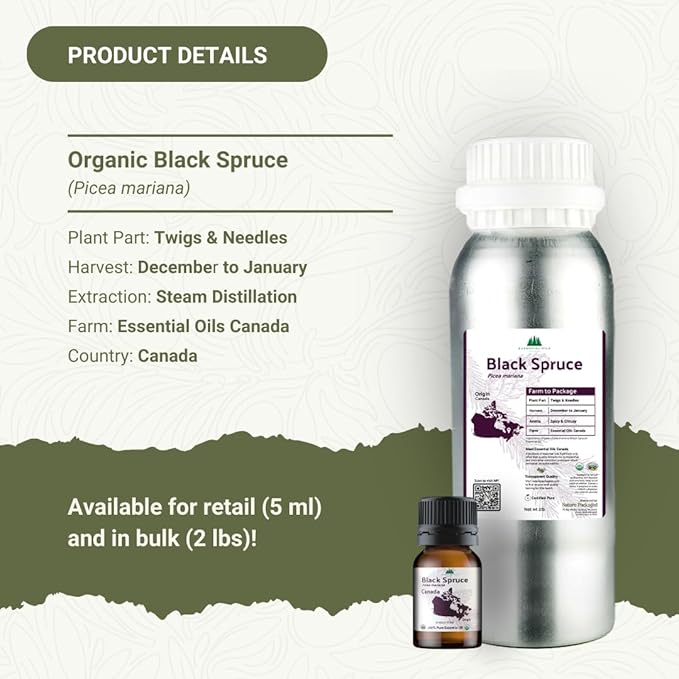Organic Black Spruce Essential Oil from Canada - Black Spruce Essential Oils for Candle Scent (5mL)