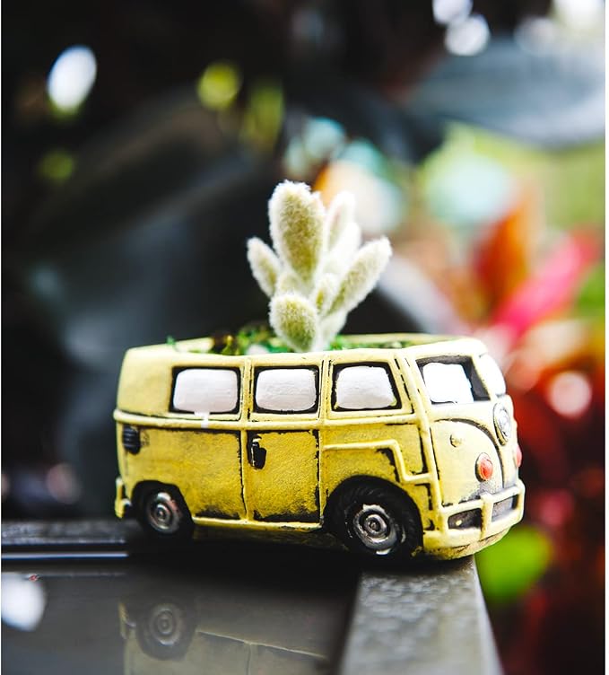 Cute Succulent Plants Planters, Small Planters - Image 2