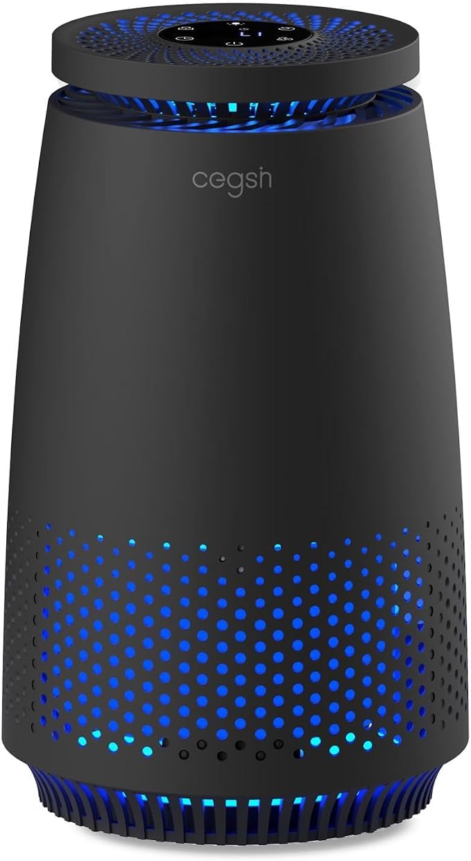 Air Purifiers for Home Bedroom, 3-in-1 HEPA Filter for Pets Dander Dust Pollen by MeansSimpleLife