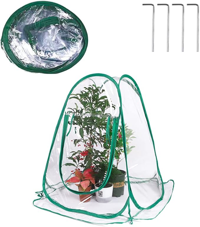 Pop Up Greenhouse Mini Plant Cover - Image 5