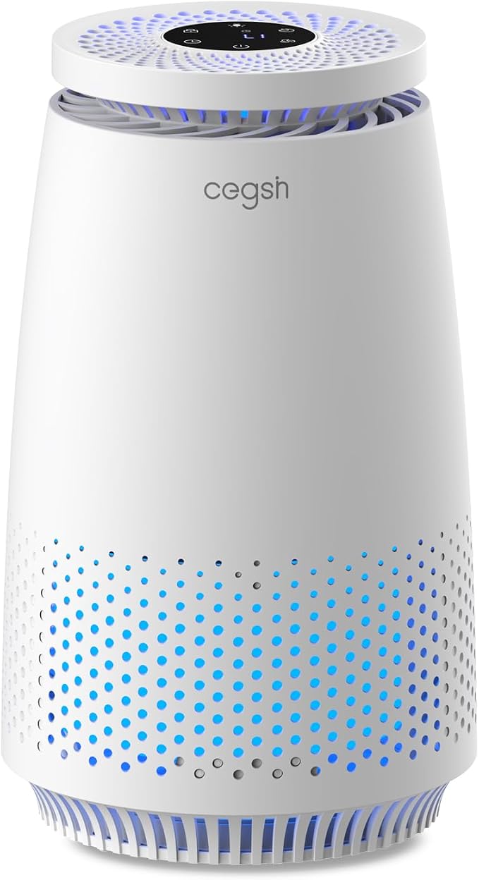 Air Purifiers for Home Bedroom, 3-in-1 HEPA Filter for Pets Dander Dust Pollen by MeansSimpleLife