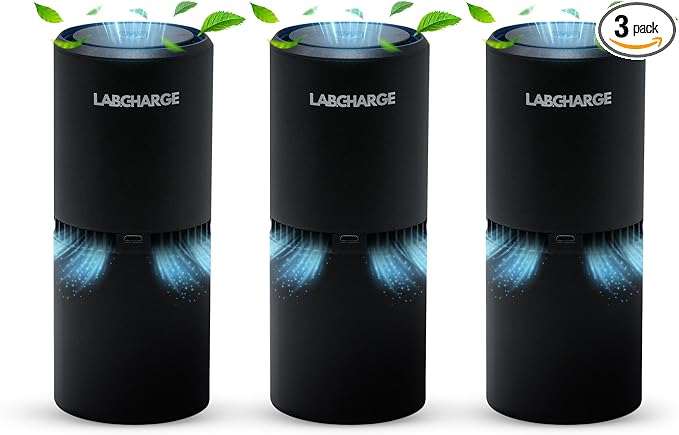 Lab Charge Small Ionic Air Purifier by LabCharge