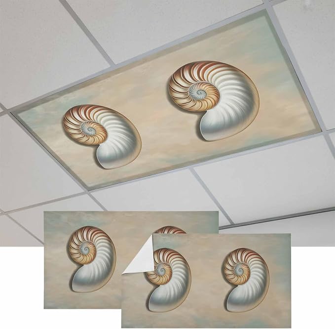 Fluorescent Light Covers for Ceiling Lights Shell Conch Magnetic Light Filters by Home+L6