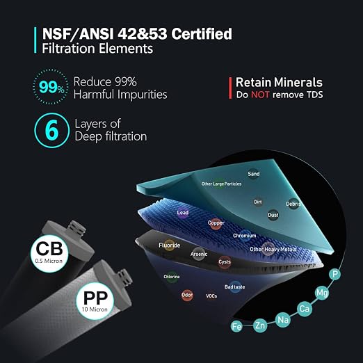 Frizzlife DW10 Under Sink Water Filter System, NSF/ANSI 53&42 Certified Elements - Image 2