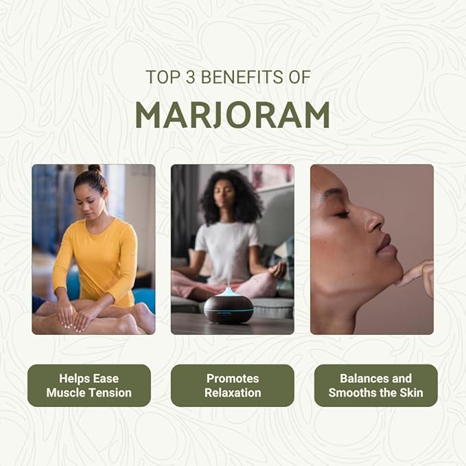 Marjoram Essential Oil - Direct from Al Sheikh for Export Egypt - Steam Distilled - Aceite de Mejorana for Aromatherapy, Massage, Diffuser, DIY Candle and Soap Making - 8oz