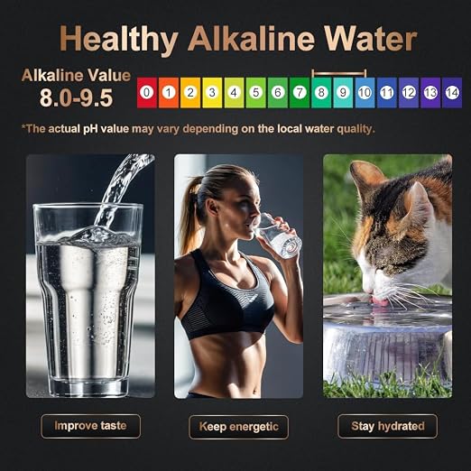 Under Sink Alkaline Water Filter - Image 2
