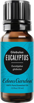 Edens Garden Eucalyptus - Globulus Essential Oil- 100% Pure Premium Grade, Undiluted, Natural, Therapeutic, Aromatherapy, The Best for Diffuser, Candle, Hair, Humidifiers 10 ml (.33 fl oz)
