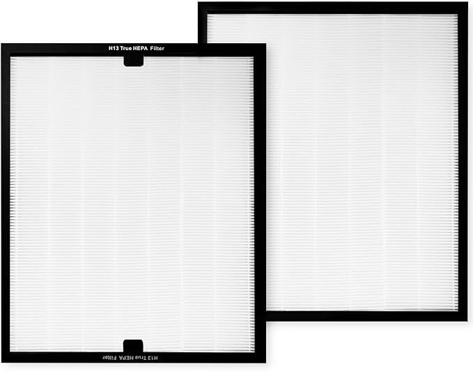 HEAP 550 Replacement Filter, HEPA Air Filter 16x19x2 inch, Compatible by WEWEAL