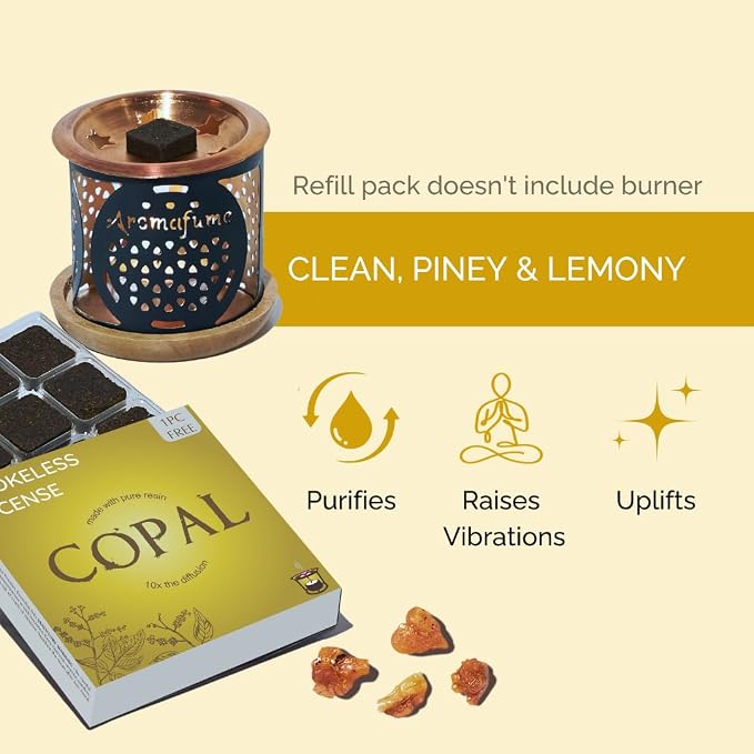 Copal Incense Bricks Refill Pack by Aromafume | 3 Trays x 9 Bricks | Protium - Image 2