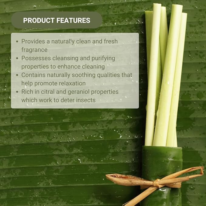 Lemongrass Essential Oil - Natural Aceite de Hierba Limón from Norex Flavours India - Lemongrass Essential Oils for Hair, Aromatherapy and Massage (8oz)