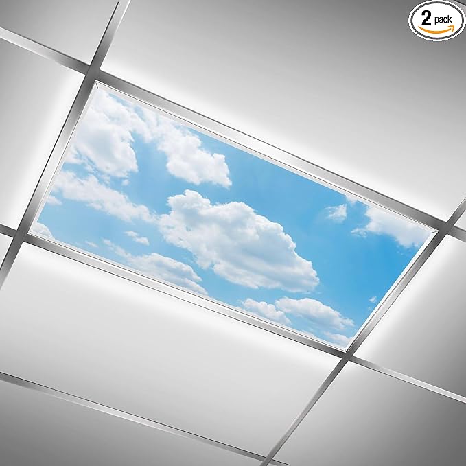 2PCS Fluorescent Light Covers by RoseFace
