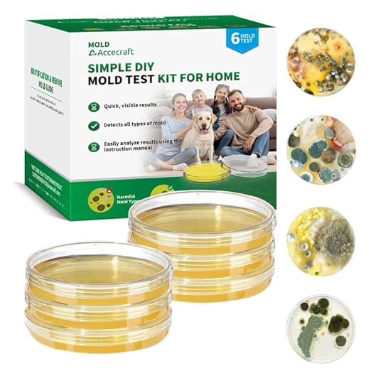 Mold Test Kit for Home by Accecraft