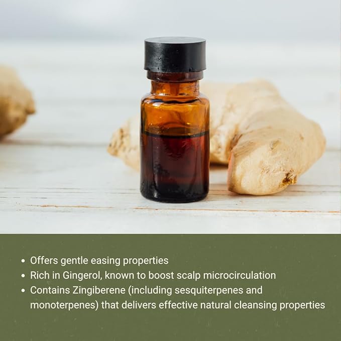 Ginger Essential Oil - Direct from Bio-Young Aromas - Pure Ginger Oil for Skin - Aceite de Jengibre - Aromatherapy 100% Therapeutic Premium Grade (15ml)