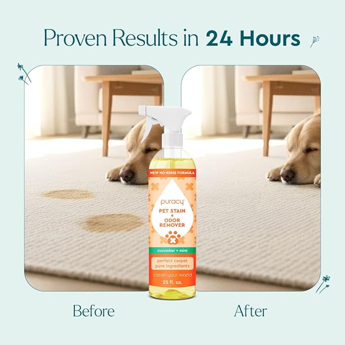 Puracy Pet Stain and Odor Remover - Enzyme Cleaner for Dog Urine and Poop Carpet - Cat Pee Enzyme for Cat Urine Cleaner Destroyer - Cucumber & Mint, 25oz