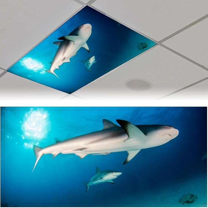 2PCS Sea Shark Magnetic Fluorescent Light Covers - Image 8