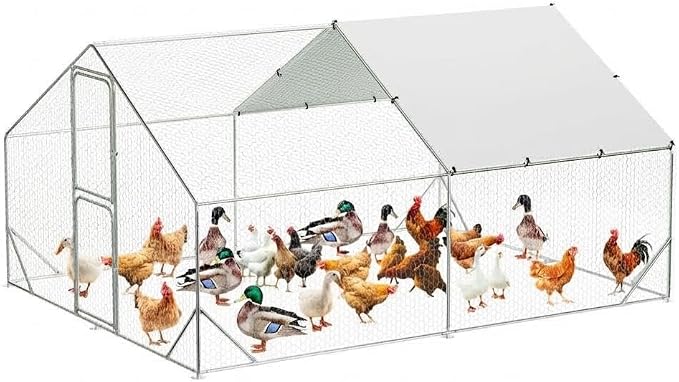 9.8X13.1x6.6FT, Large Walk in Chicken Run Pen Cage, Metal Coop Clearance by Unknown