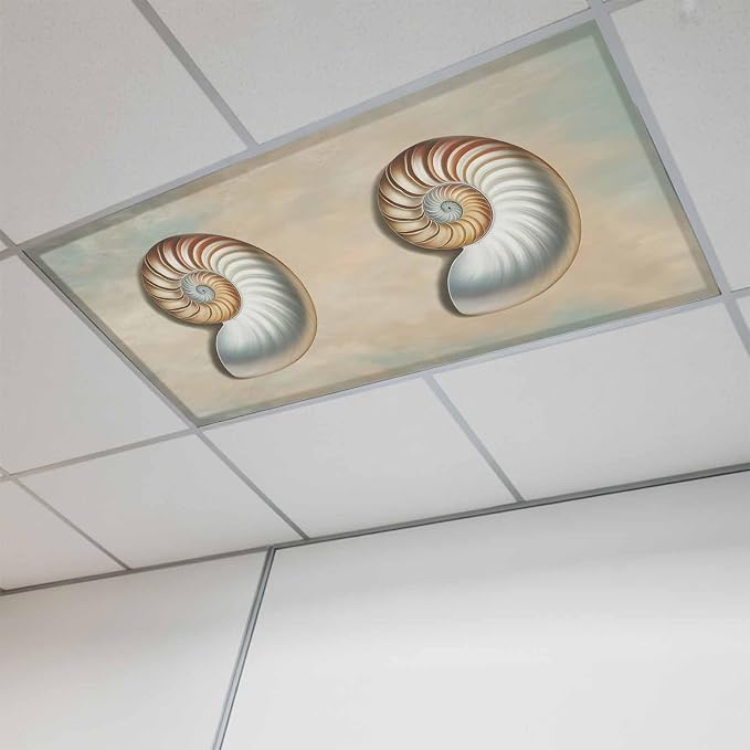 Fluorescent Light Covers for Ceiling Lights Shell Conch Magnetic Light Filters by Home+L6