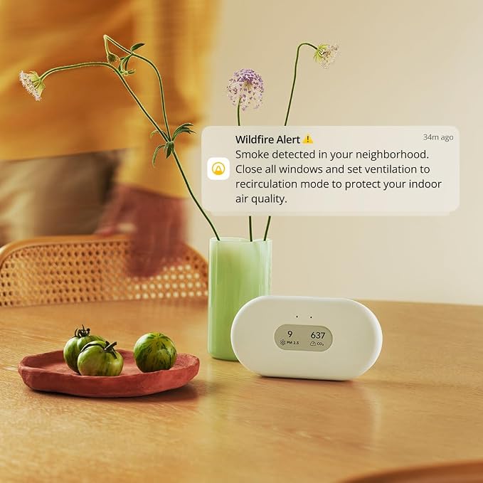 Airthings 2960 View Plus - Image 11