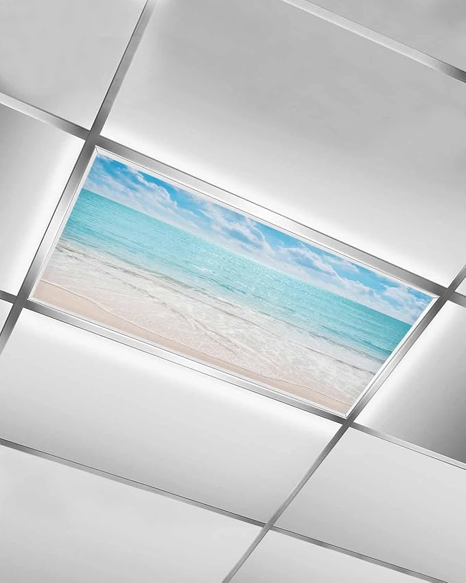 Ocean 1 Pcs Fluorescent Light Covers, 4 x 2 Ft by Gsypo
