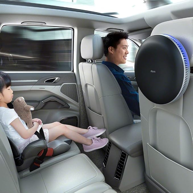 IQAir Atem Car Portable HEPA Air Purifier, Filters - Image 2