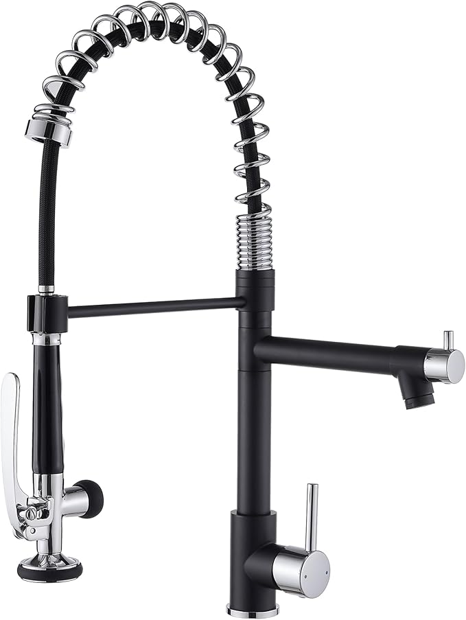 Fapully Kitchen Sink Faucet, Pull Down Kitchen Faucet, Single Handle Single by Fapully