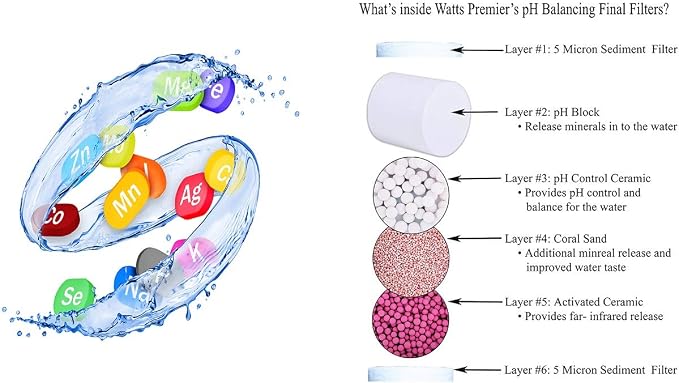 Watts Premier pH Balancing Ceramic Post-Filter - Image 6