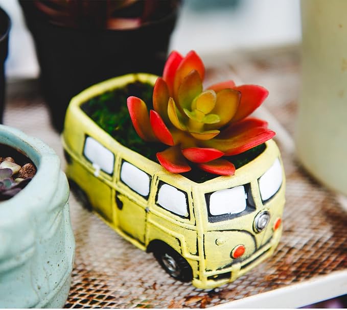 Cute Succulent Plants Planters, Small Planters - Image 4
