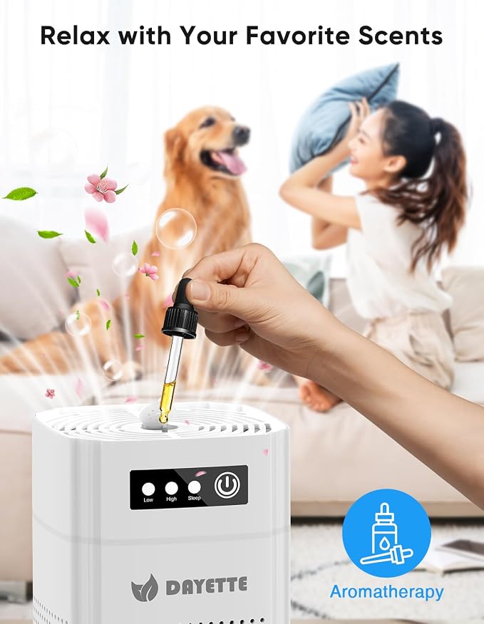 Air Purifiers for Bedroom, DAYETTE H13 True HEPA Air Filter Purifier for Small - Image 4