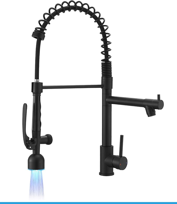 Fapully Black Kitchen Faucet by Fapully