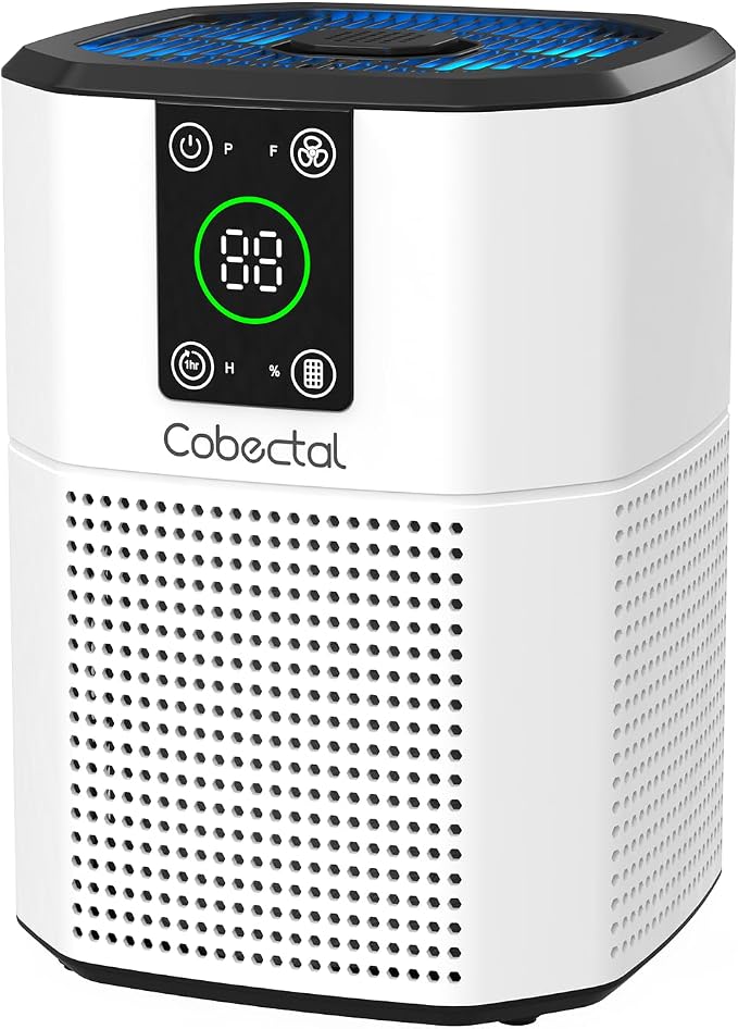 Air Purifier for Home Bedroom, Cobectal Room Air Cleaner by cobectalsupplier