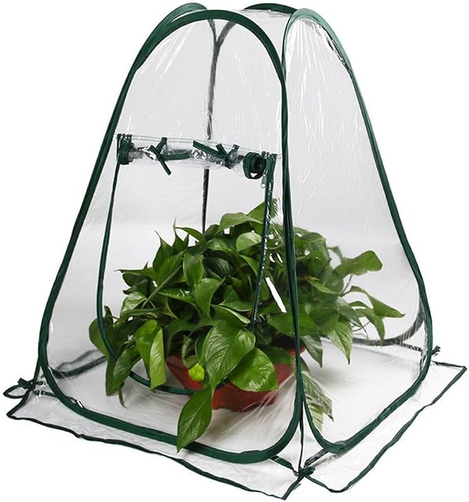 Weatherproof Portable Greenhouse Optimal Plant Growth - Image 2