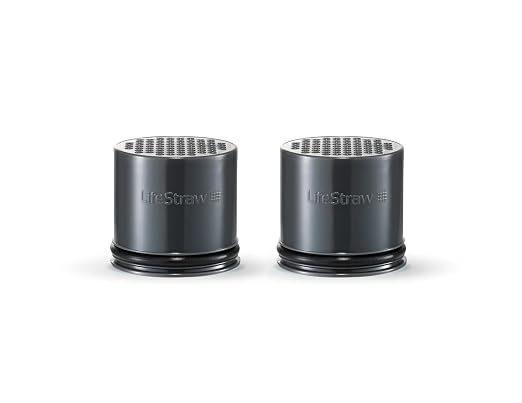 LifeStraw Carbon Capsule Replacement Filter by LifeStraw