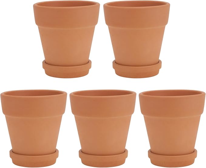 5pcs Red Clay Succulent Pots by Yardenfun