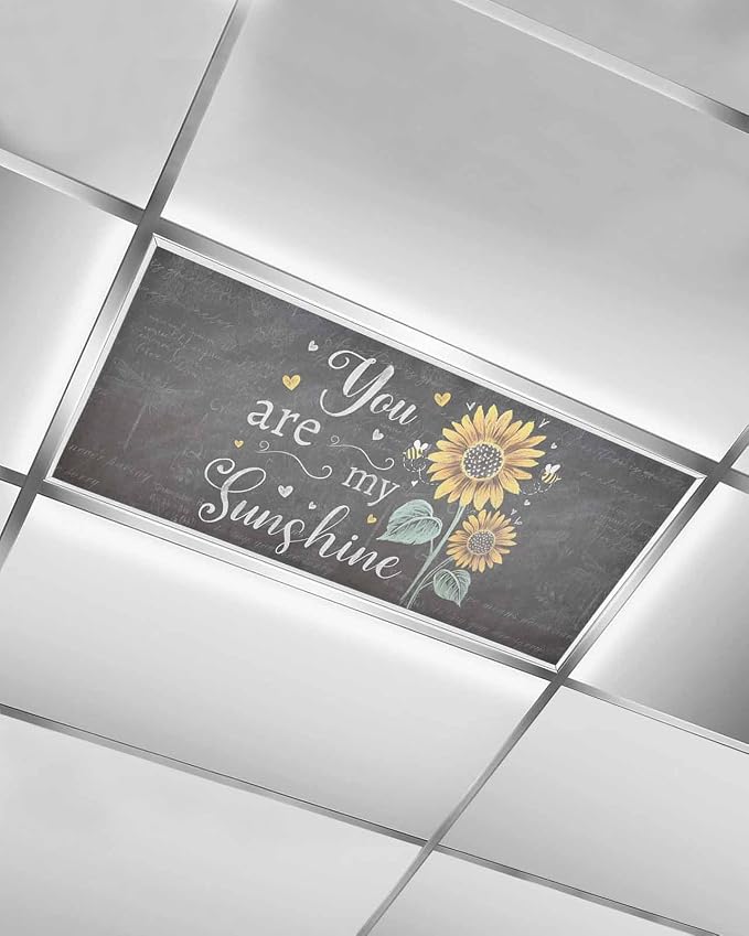 1 Pack Retro Sunflower Fluorescent Light Covers You are My Sunshine Yellow by Unknown