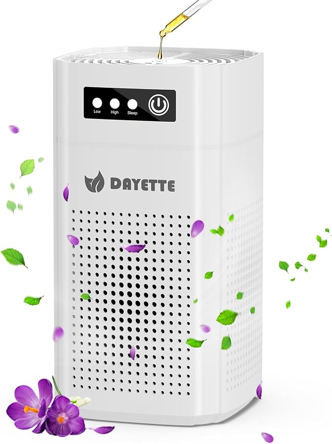 Air Purifiers for Bedroom, DAYETTE H13 True HEPA Air Filter Purifier for Small by Dayette