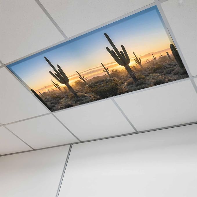 Fluorescent Light Covers for Drop Ceiling Desert Cactus Sunset Magnetic Light by Unknown