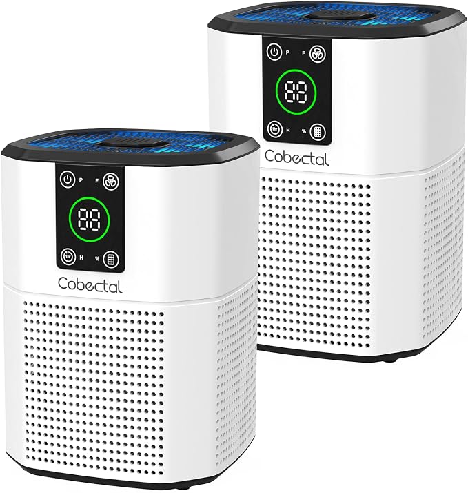 2 Pack Air Purifier for Home Bedroom, Cobectal Room Air Cleaner by cobectalsupplier