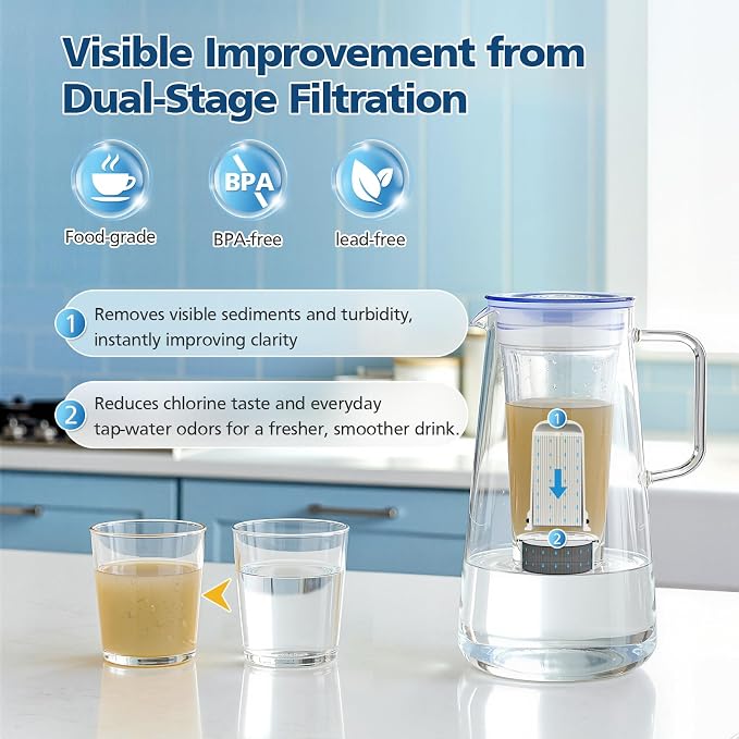 Water Pitcher Filter Replacement - Image 5