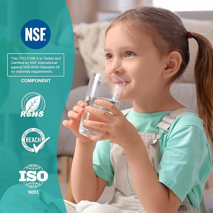 SimPure Whole House Water Filter Cartridges 5 Micron 10" x 4.5" CTO Activated - Image 4