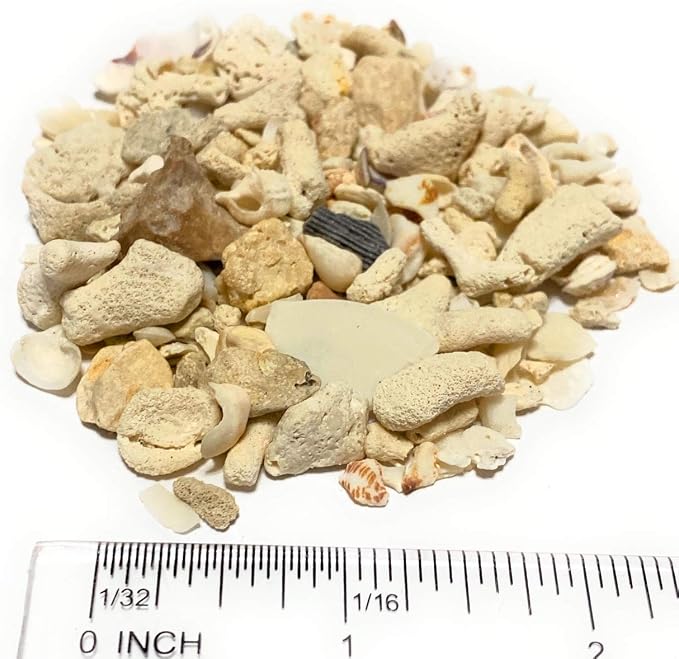 Middle Keys Marine Life LLC Florida Keys Crushed Coral Aquarium Gravel 2.5 LB - Image 2