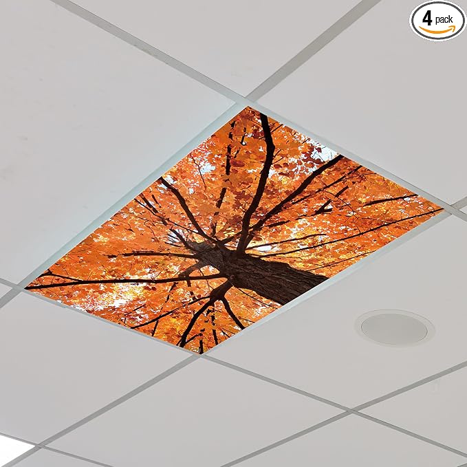 Outus Fluorescent Light Cover Classroom Lighting Cover by Outus