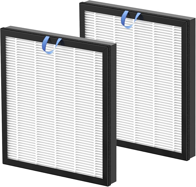 2 Pack Vital 100S Replacement Filter by LINNIW