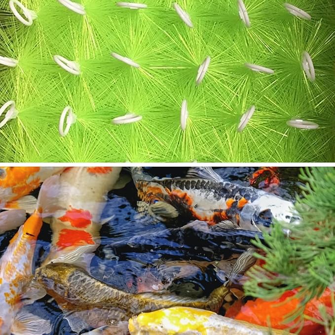 50 Packs Filter Brushes Aquarium Brushes Set - Image 5