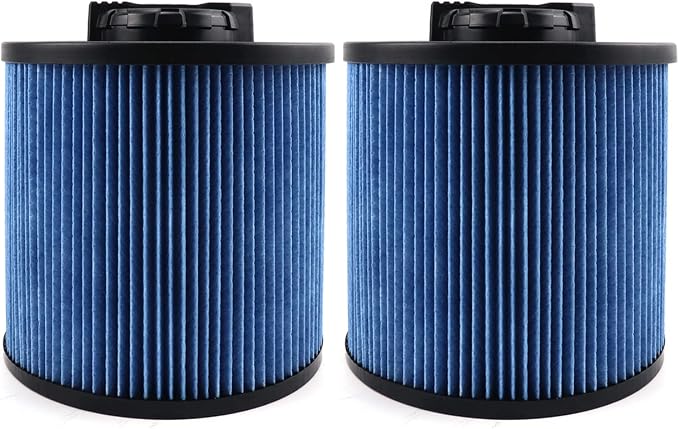 2 Pack DXVC6912 Fine Dust Filter Fit by ANBOO