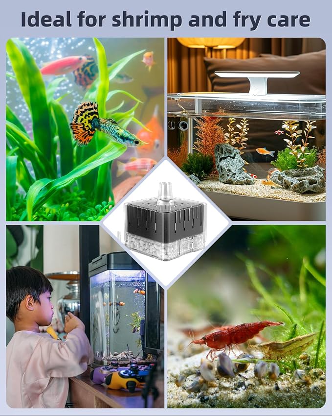 Pawfly Aquarium Sponge Filter for Fish Tanks up to 5-20 Gallons, Small Fish - Image 4