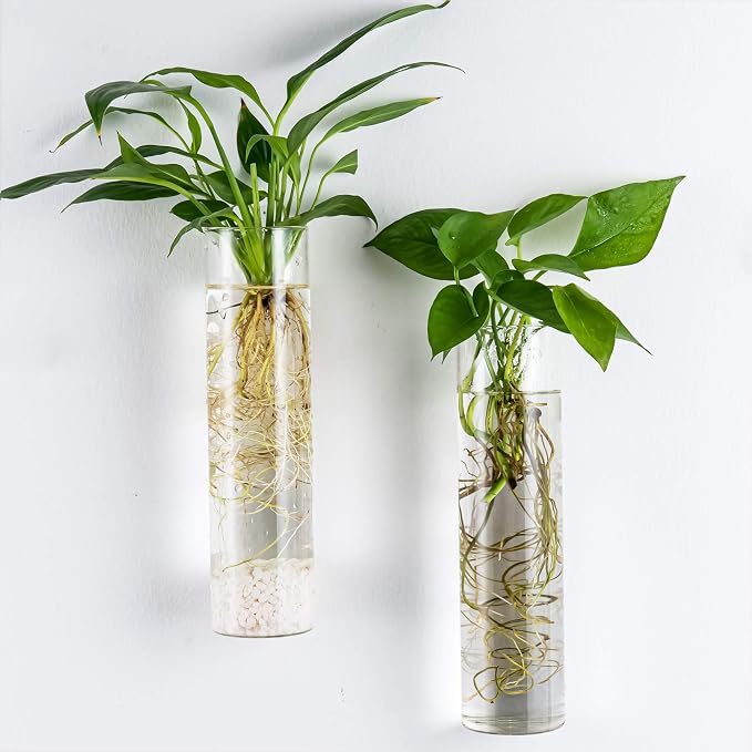 Kingbuy Wall-Mounted Plant Terrarium Propagation Station - Image 4