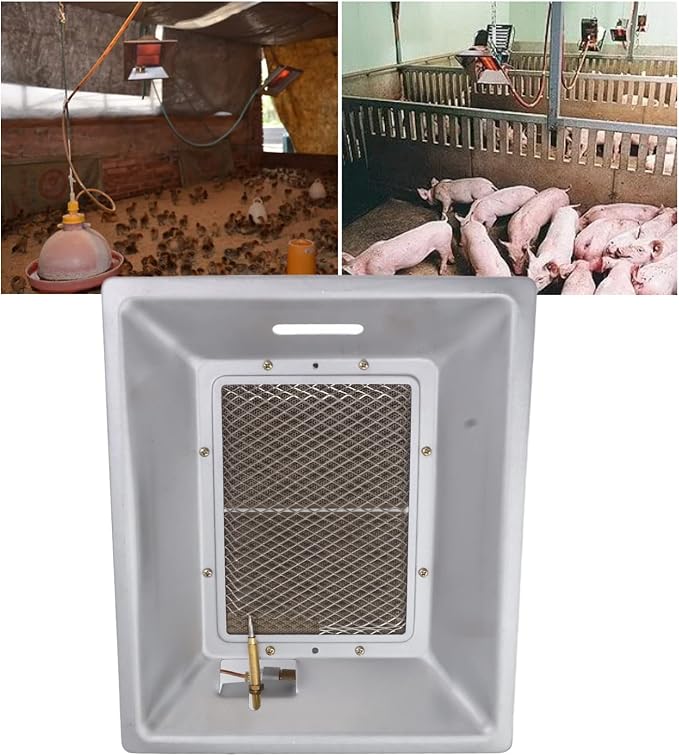 Chick Gas Brooder Heater, Chicken Coop Heater, Manual Infrared Ceramics - Image 5