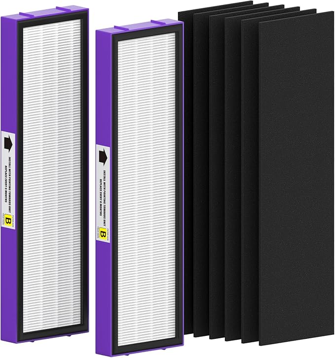 2 Pack FLT4850PT True HEPA Replacement Filter B, by FMDZFL
