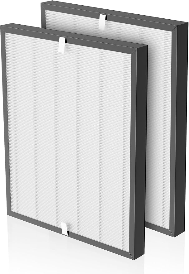 3000 Replacement Filter Compatible by Airloria