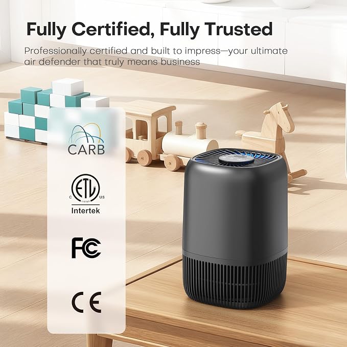 Air Purifiers for Office with H13 Quiet HEPA Filter Up to 1076 Ft² for Pet - Image 8